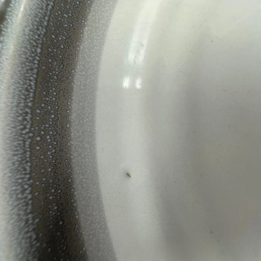 Noritake stoneware sierra